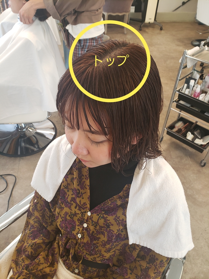 ぺたんこ髪は ３ステップの乾かし方でふんわりボリュームアップ Careblog Magnolia マグノリア 東京 表参道にあるパーマ が得意なヘアサロン