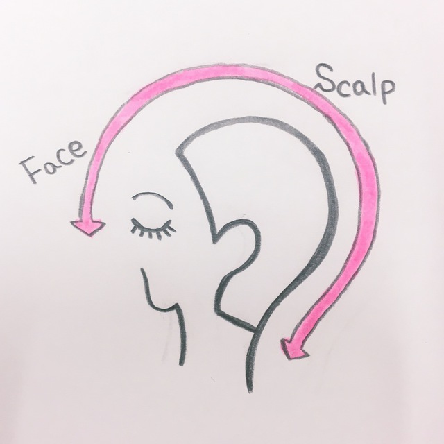 女性の大敵 顔のたるみやシワの改善は頭皮ケアで決まります Careblog Magnolia マグノリア 東京 表参道にあるパーマが得意なヘアサロン 女性の大敵 顔のたるみやシワの改善は頭皮ケアで決まります Careblog Magnolia マグノリア 東京 表参道にあるパーマが得意なヘアサロン