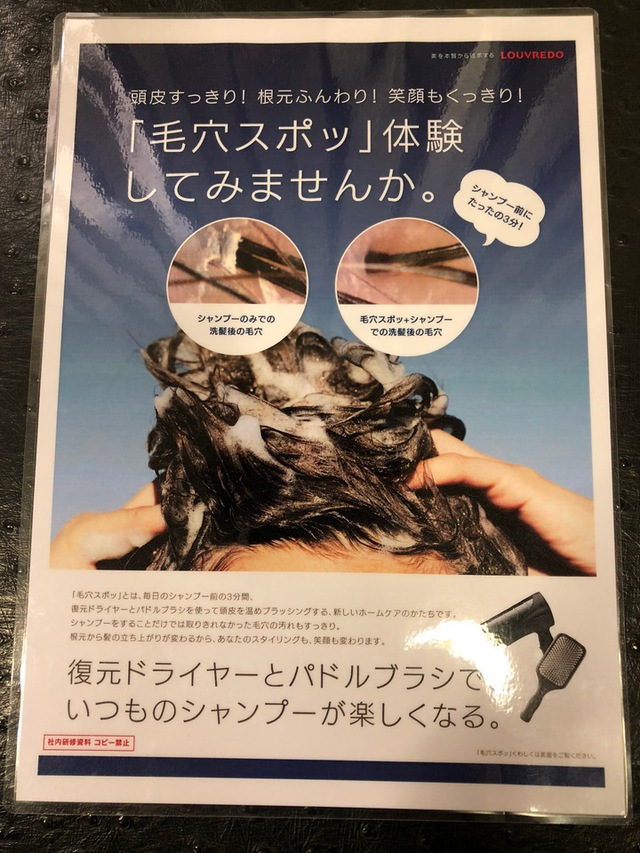 季節の変わり目に頭皮の汚れ 抜け毛の多い秋に毛穴掃除 前編 Careblog Magnolia マグノリア 東京 表参道にあるパーマが得意なヘアサロン 季節の変わり目に頭皮の汚れ 抜け毛の多い秋に毛穴掃除 前編 Careblog Magnolia マグノリア 東京 表参道にあるパーマが得意なヘアサロン