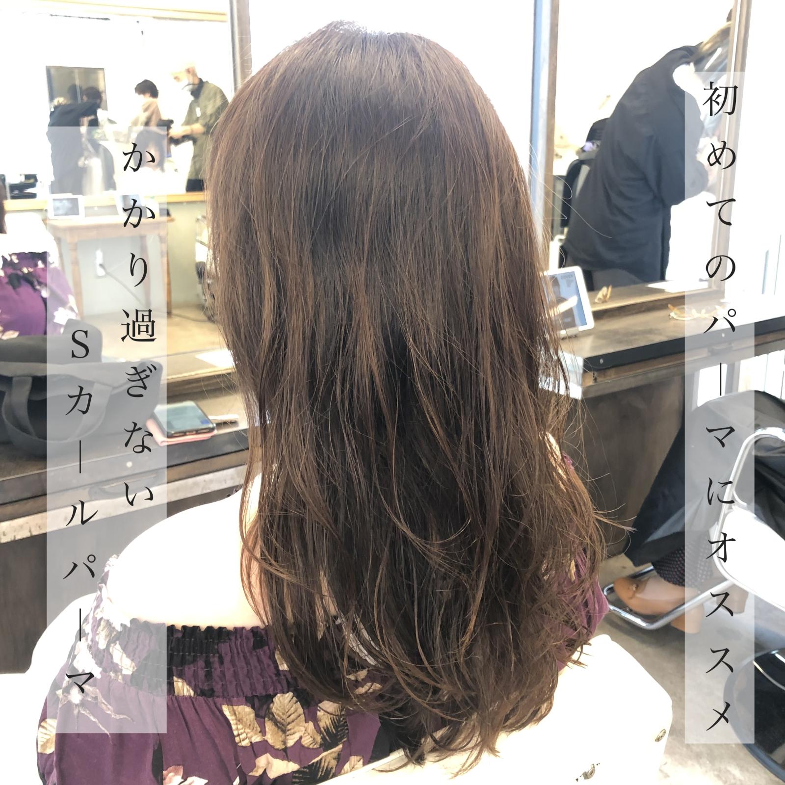 初めての方にオススメの毛先パーマ Staff Blog Magnolia マグノリア 東京 表参道にあるパーマが得意なヘアサロン